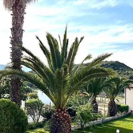 Palma Seaside 3 サルティ